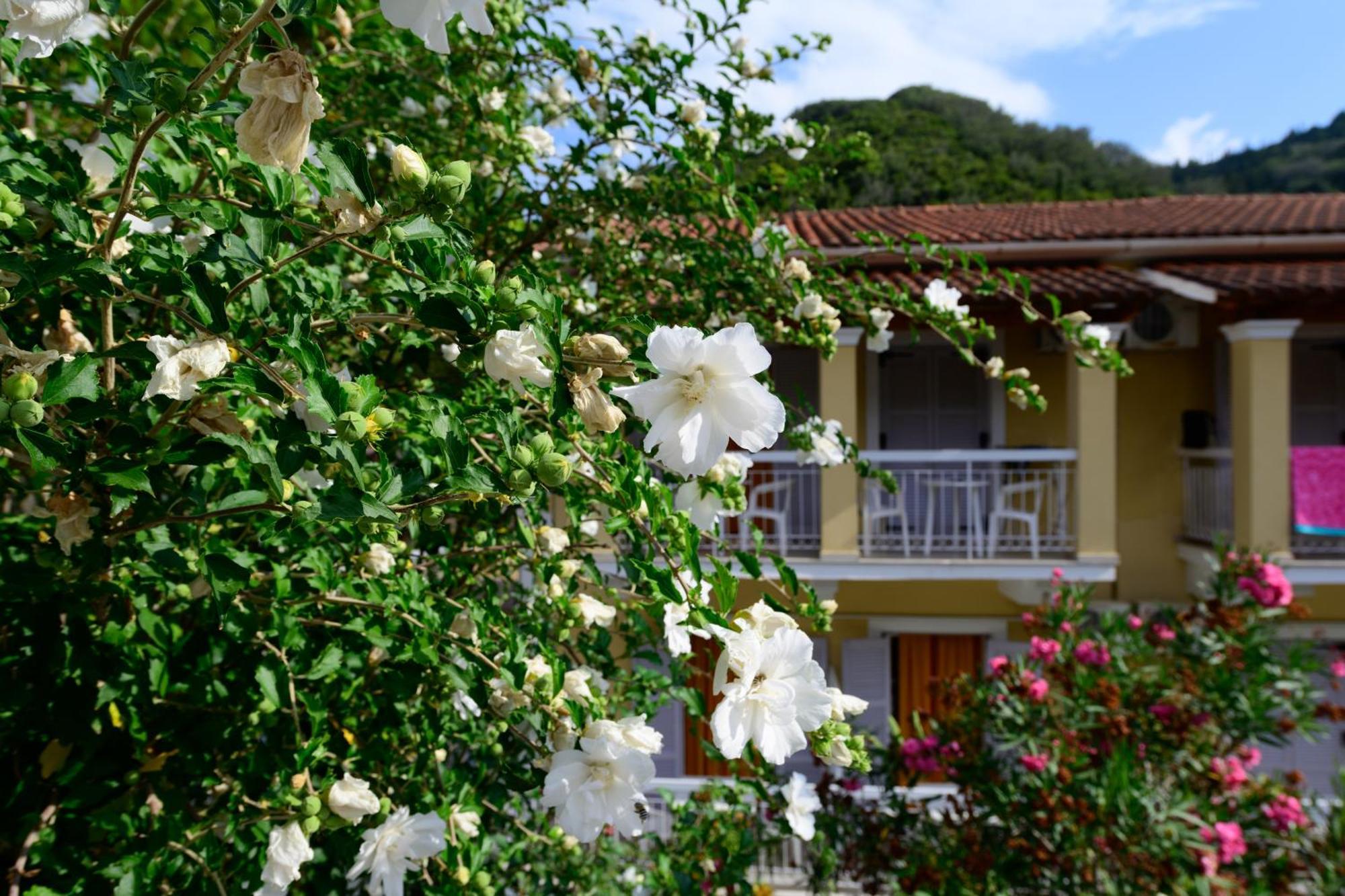 Marina Apartments, Agios Gordios  Exterior photo